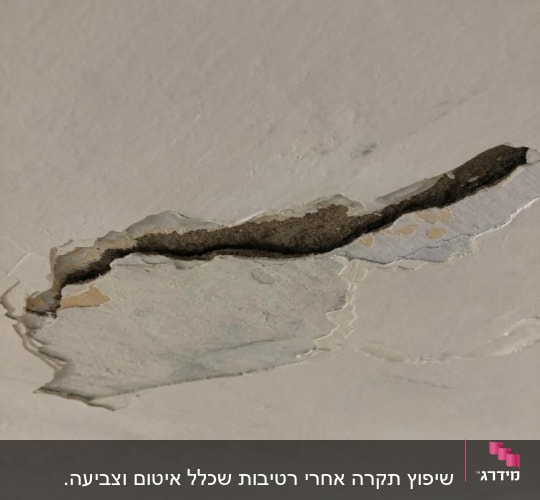 סדק בתקרה עם טיח מתקלף